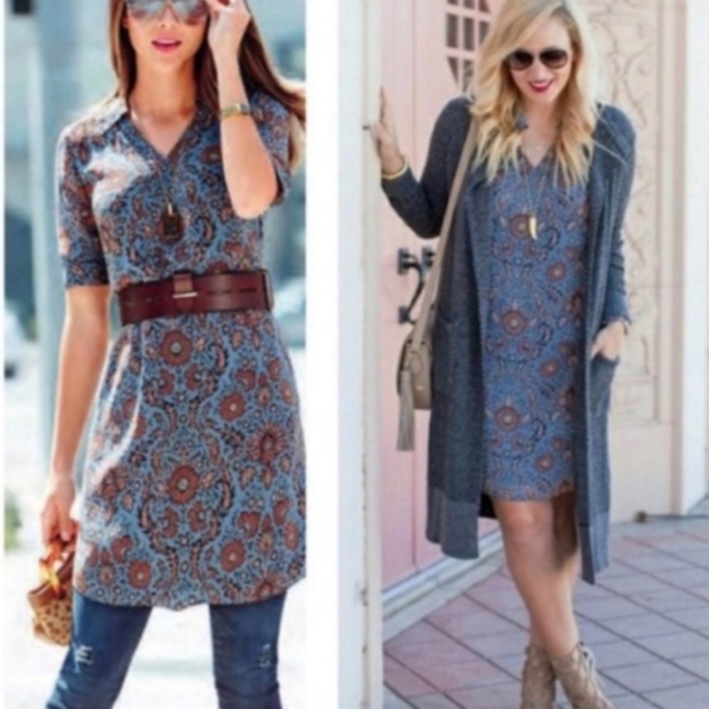 Cabi Provincial Blue Floral Shift Dress Long Sleeve Lined Size XS #3295